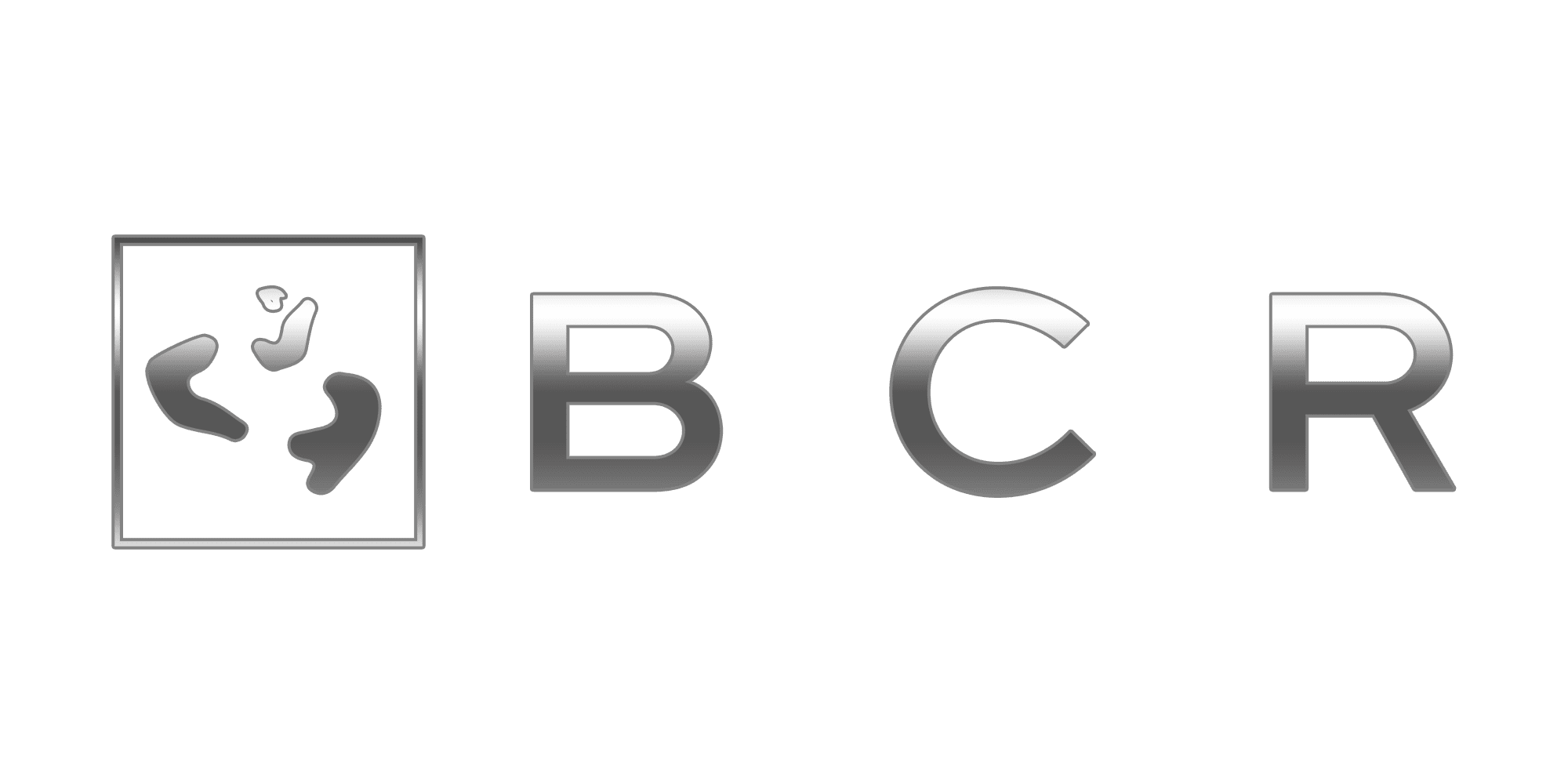 BCR Holdings